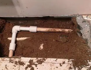 嘉兴市测漏水哪家好