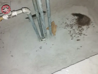 嘉兴市卫生间测漏水价格明细