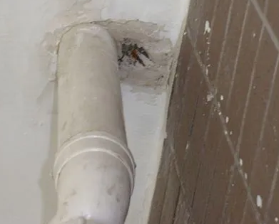 嘉兴市漏水检测哪家好